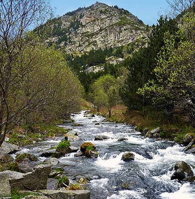 PESCA PIRINEO ORIENTAL